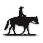 western pleasure cowboy rider